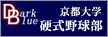 sw@d싅