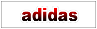 �A�f�B�_�X �W���p��